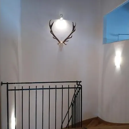 Reiter Bei Kitzbuehel *