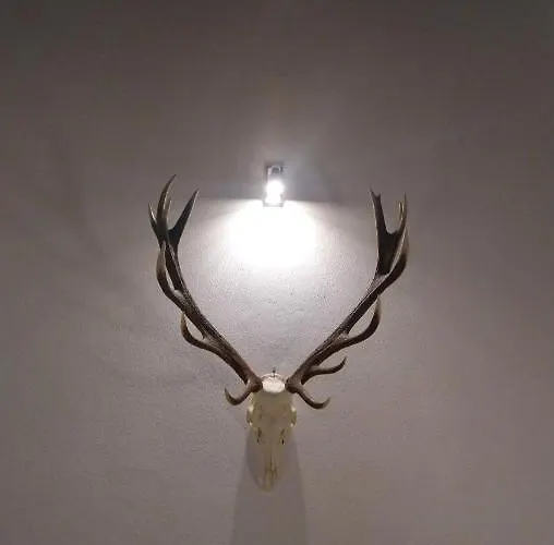 בית נופש Reiter Bei Kitzbuehel *