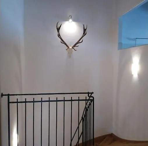 Reiter Bei Kitzbuehel *